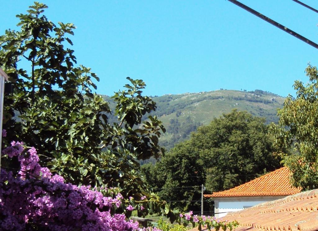 Casa Do Mosteiro De Refoios Do Lima Ponte de Lima Rum bild